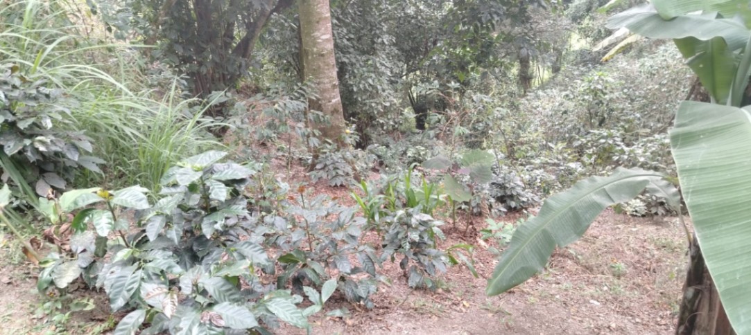 Cáqueza-Chipaque, Cáqueza, Cundinamarca, Colombia 3